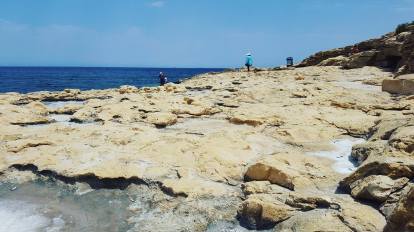 18451820_1518468828225266_2044415605_o