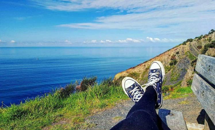 23998498_1752761291462684_1753184944_o (1)