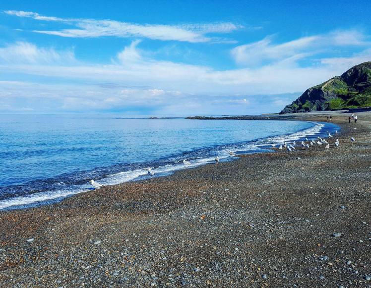 23998579_1752761401462673_1422201711_o