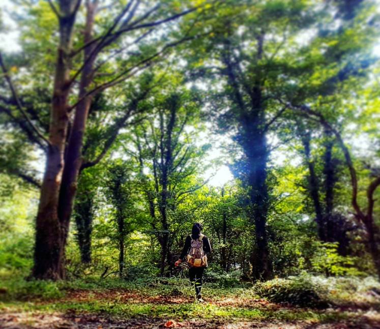 24007961_1752761371462676_1946114486_o (1)