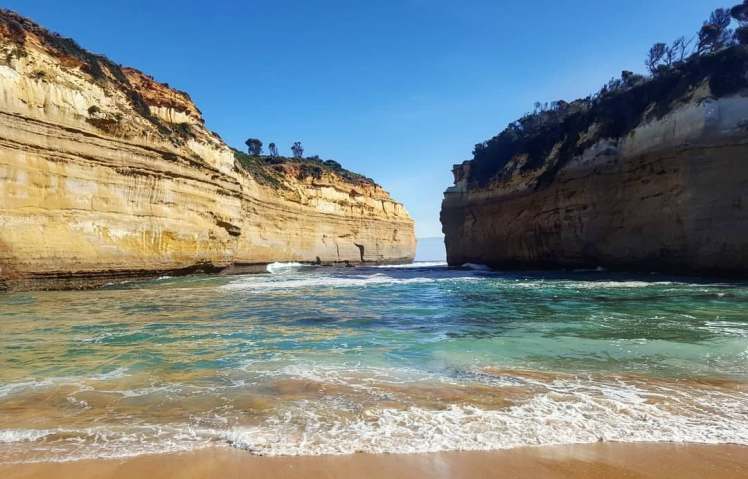 31277477_1955200511218760_3716367581263691776_n